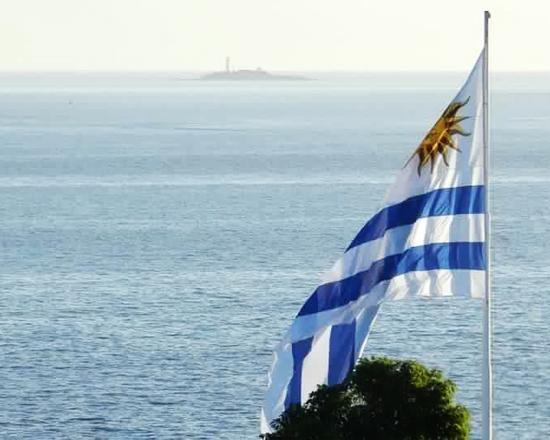 Bandera uruguaya flameando frente al Río de la Plata