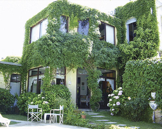 Fachada interior del jardín cubierta de hiedra con sillas de hierro blancas